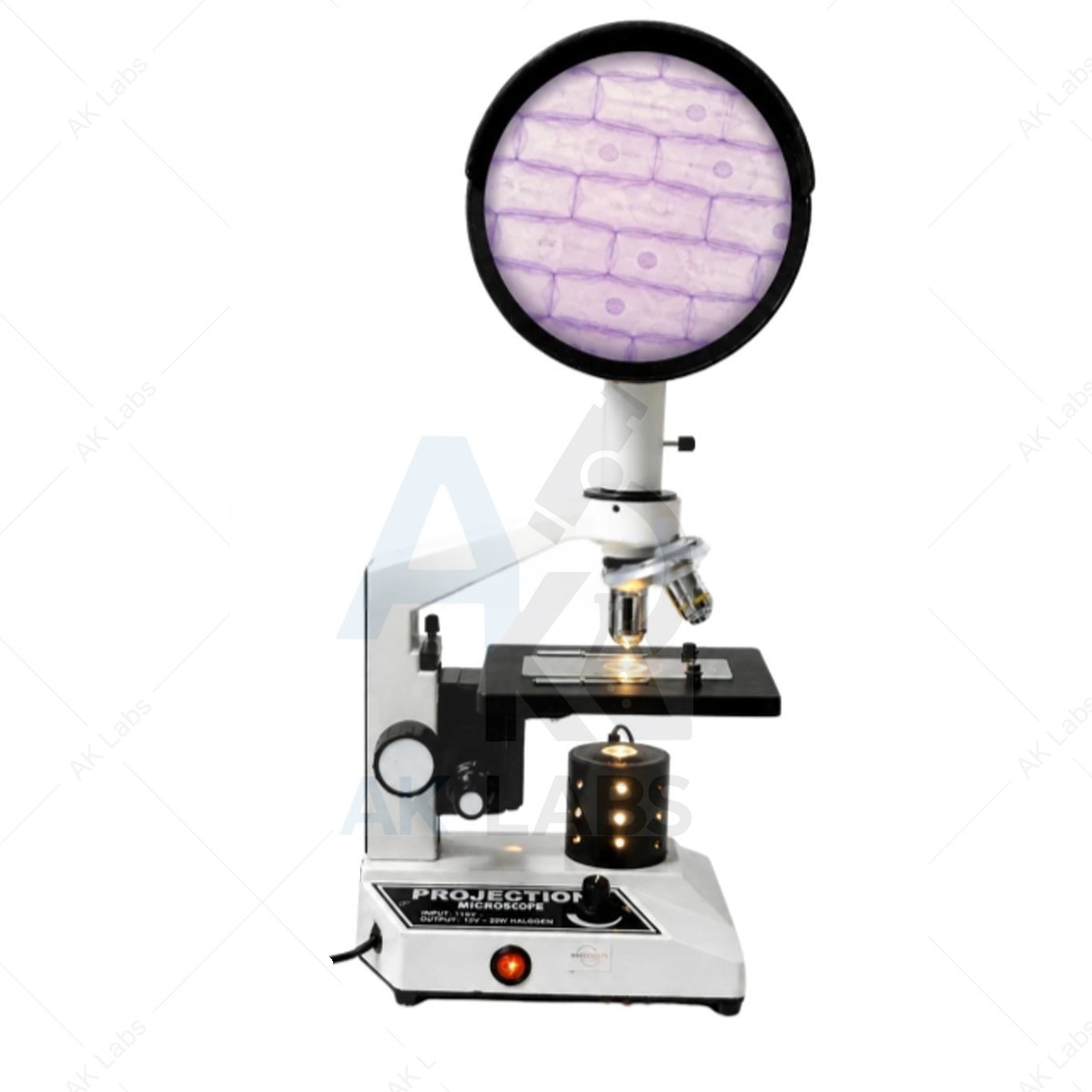 Projection Microscope With 6" Dome